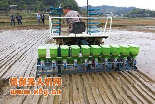水稻直播技术,不育苗不插秧一亩增产上百公斤!