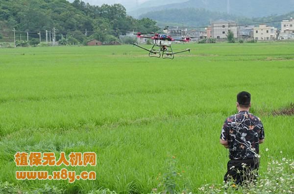 惠东县：植保无人机统防统治水稻病虫害 成本低效率高