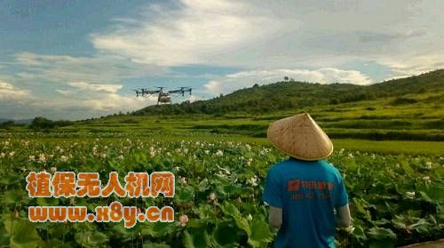 农田管家飞手正在田间操作无人机作业。