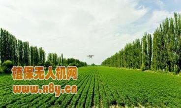 无人机在农业领域的广泛应用